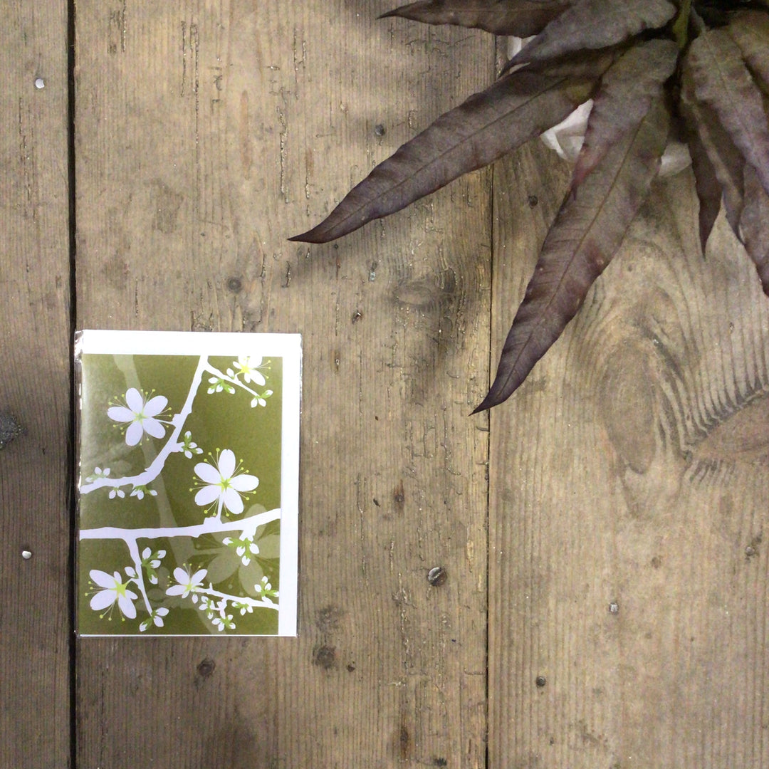Blackthorn Card