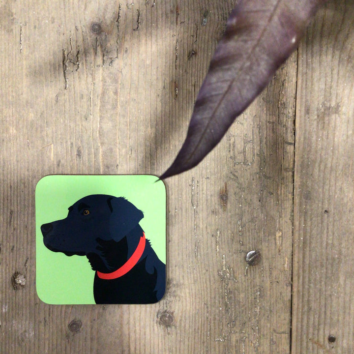 Dog Coaster