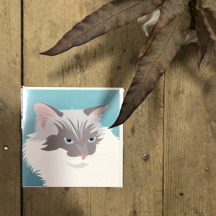 Cat Card
