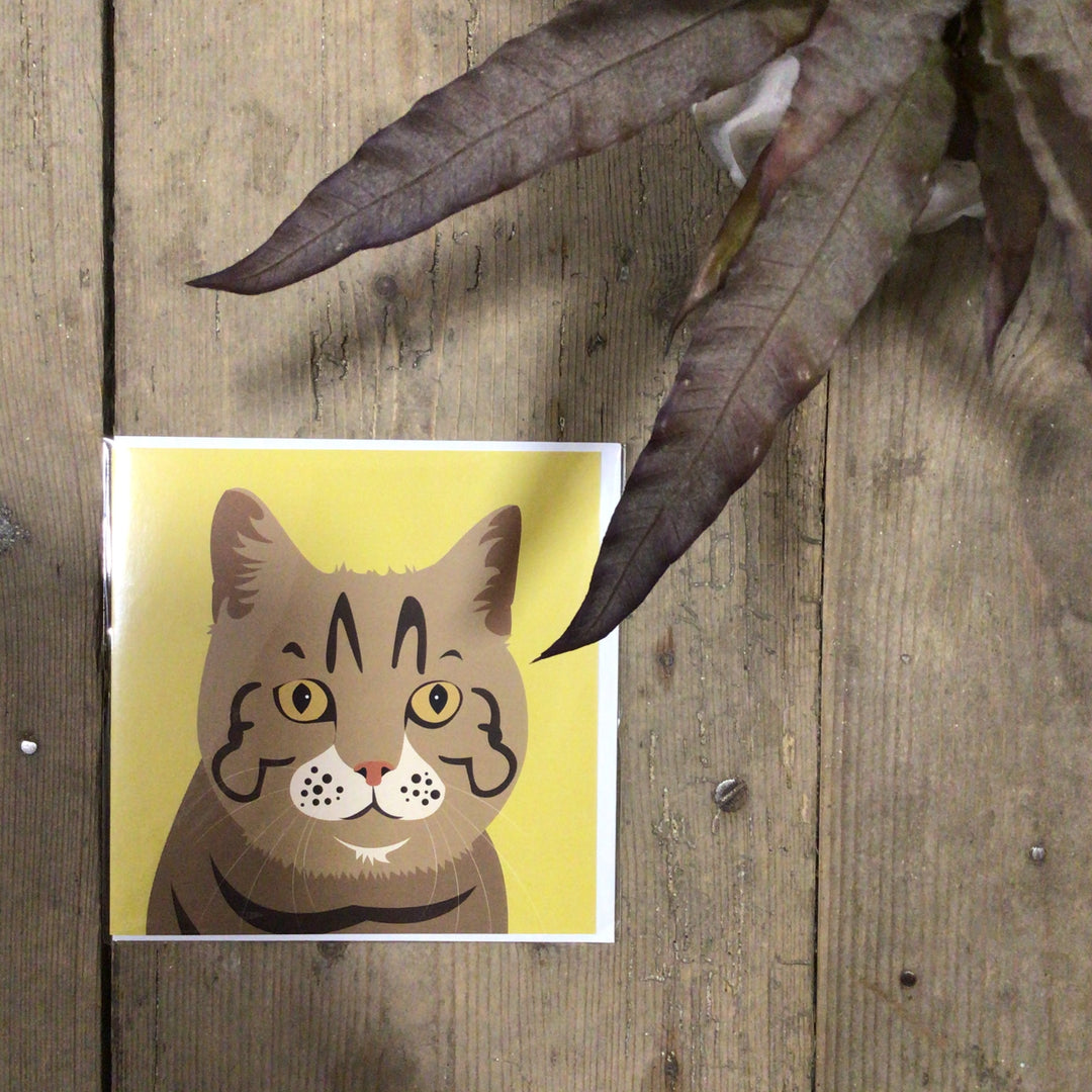 Cat Card