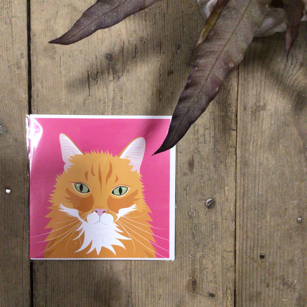 Cat Card