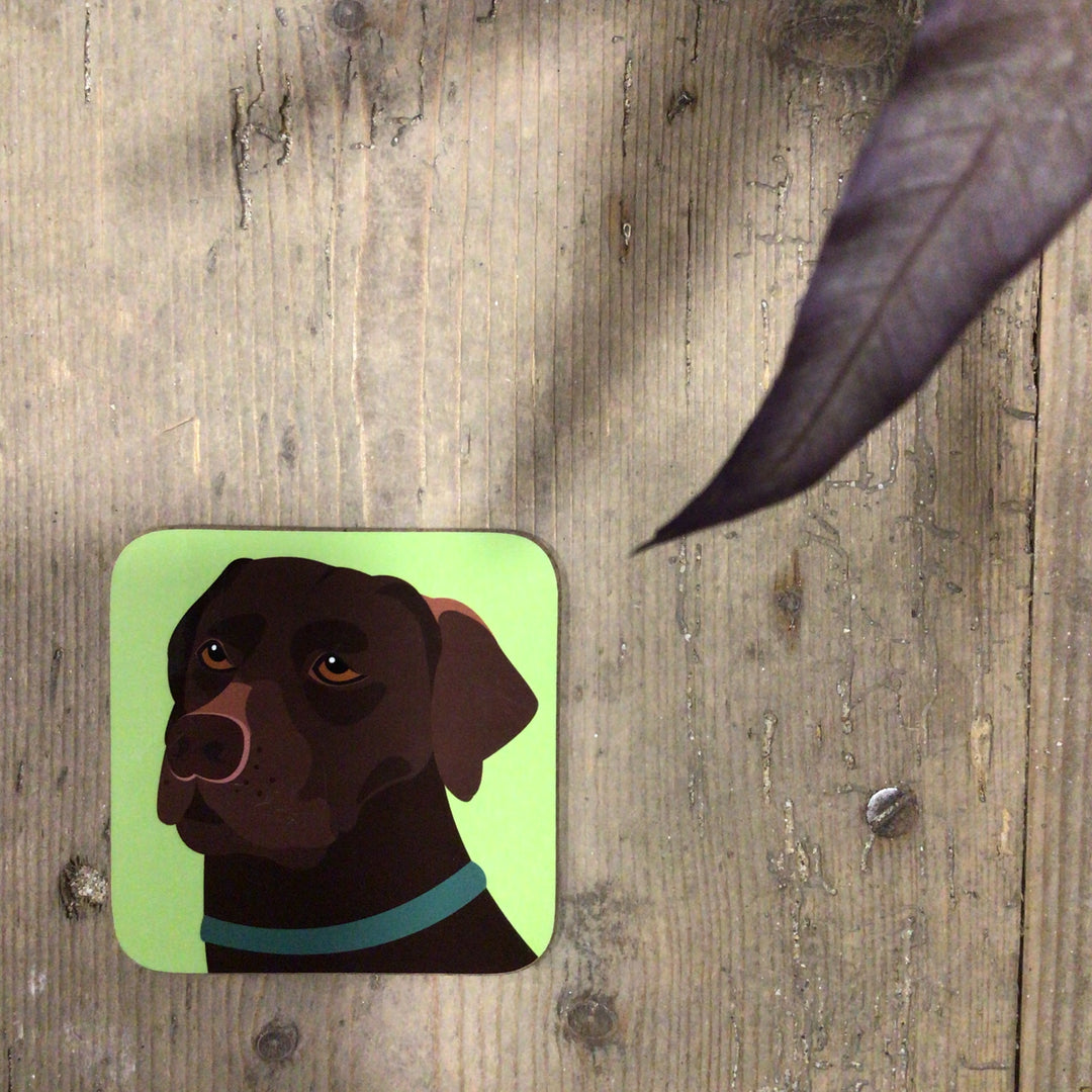 Dog Coaster