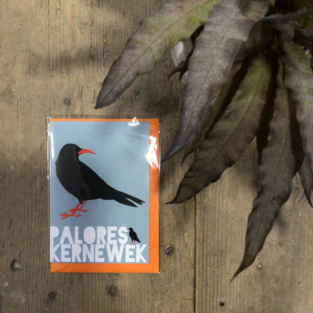 Chough Card