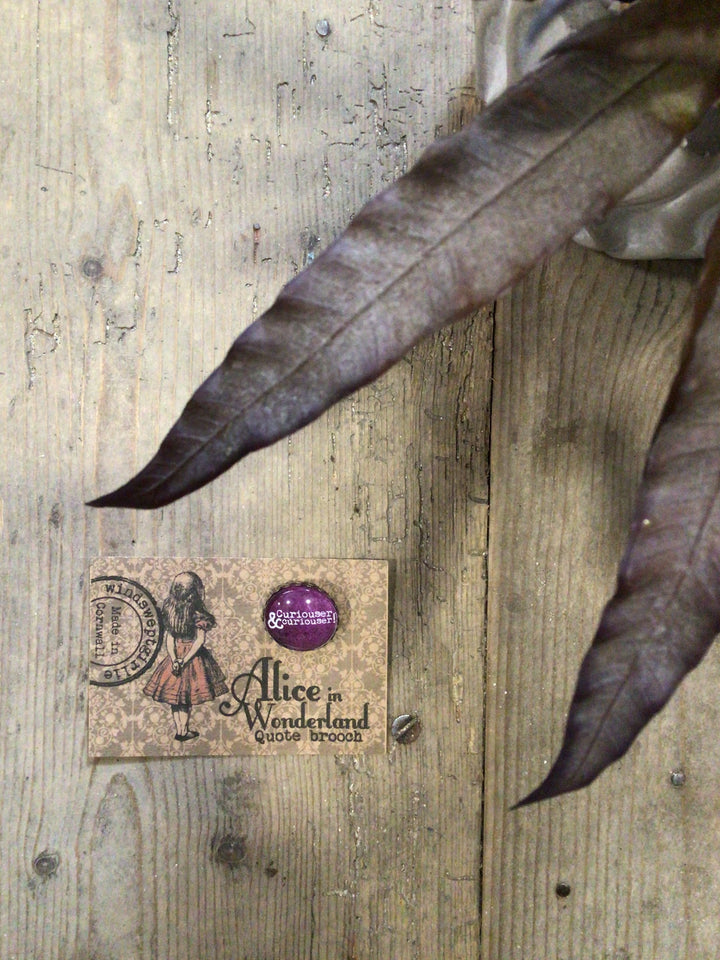 Alice - Quotation Brooch