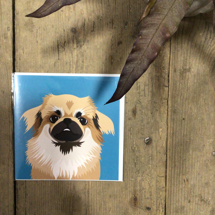 Dog Card