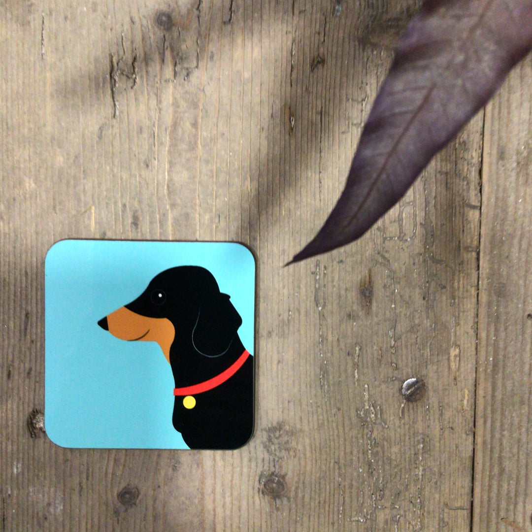 Dog Coaster