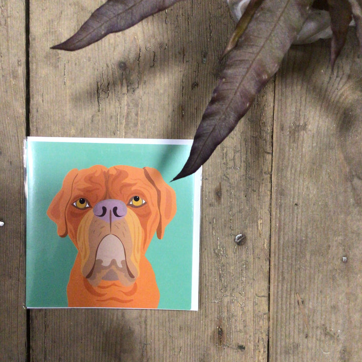 Dog Card