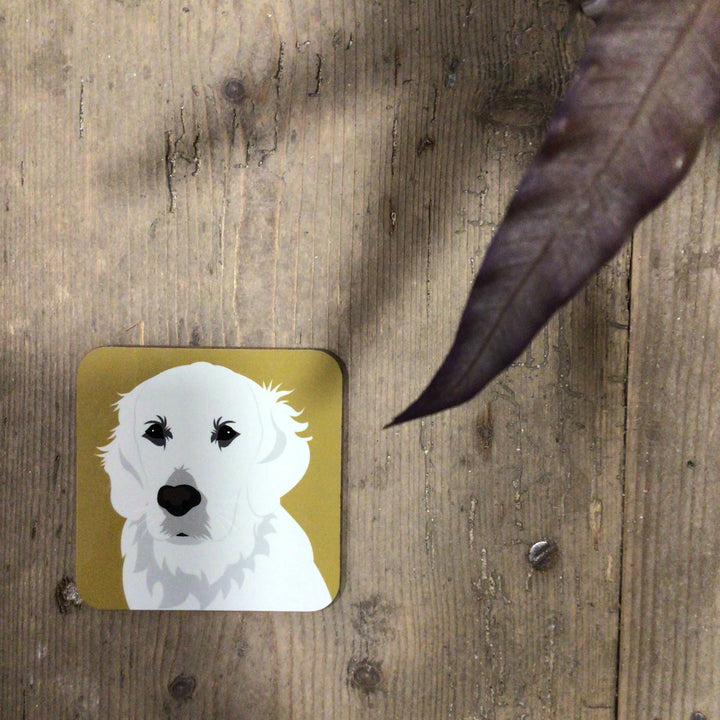 Dog Coaster