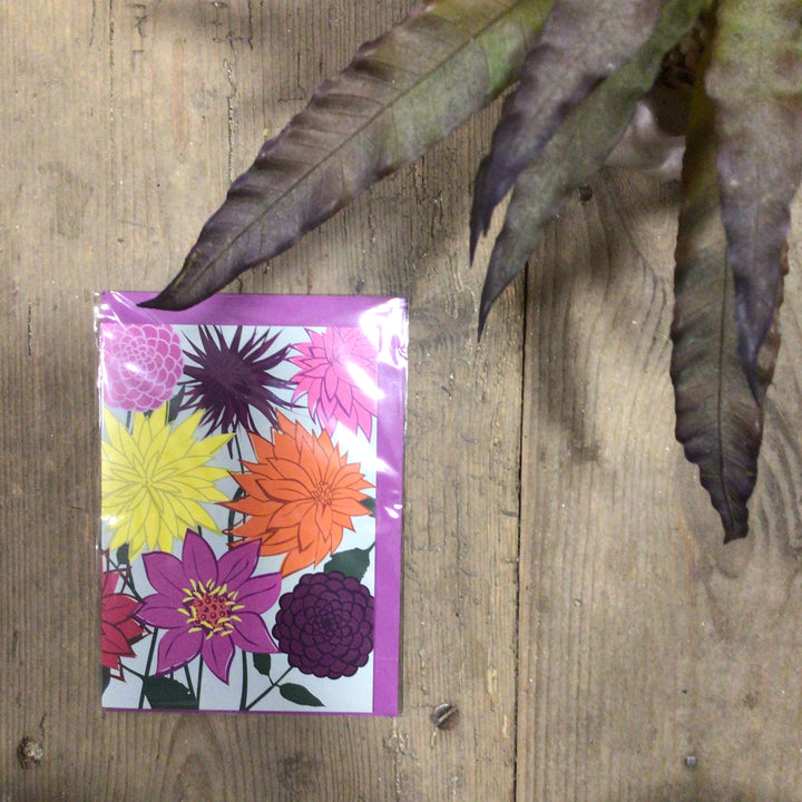 Dahlia Card