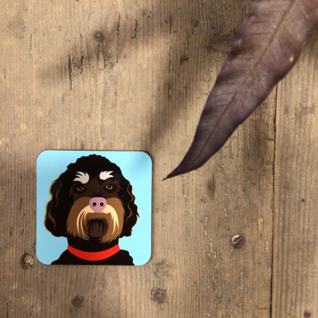 Dog Coaster