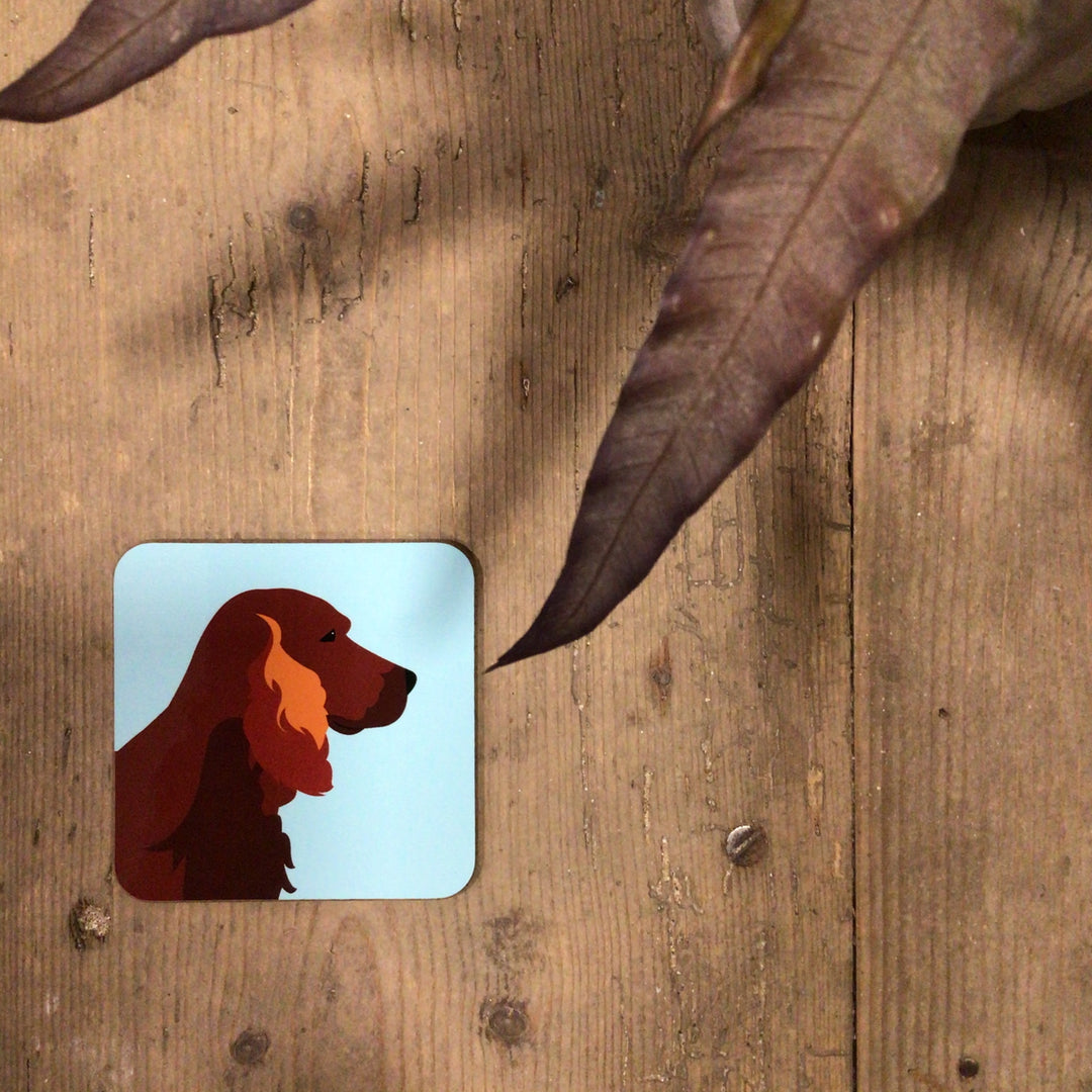 Dog Coaster