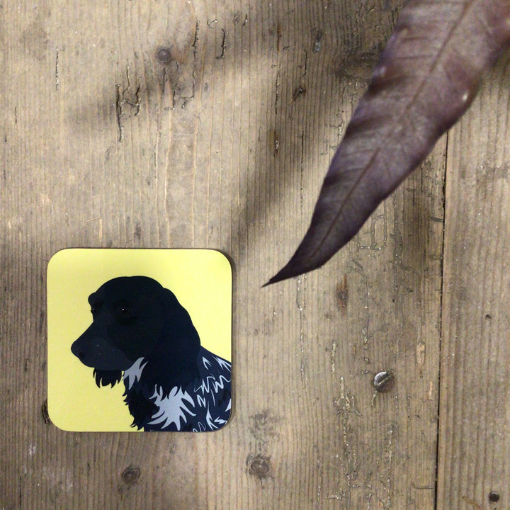 Dog Coaster