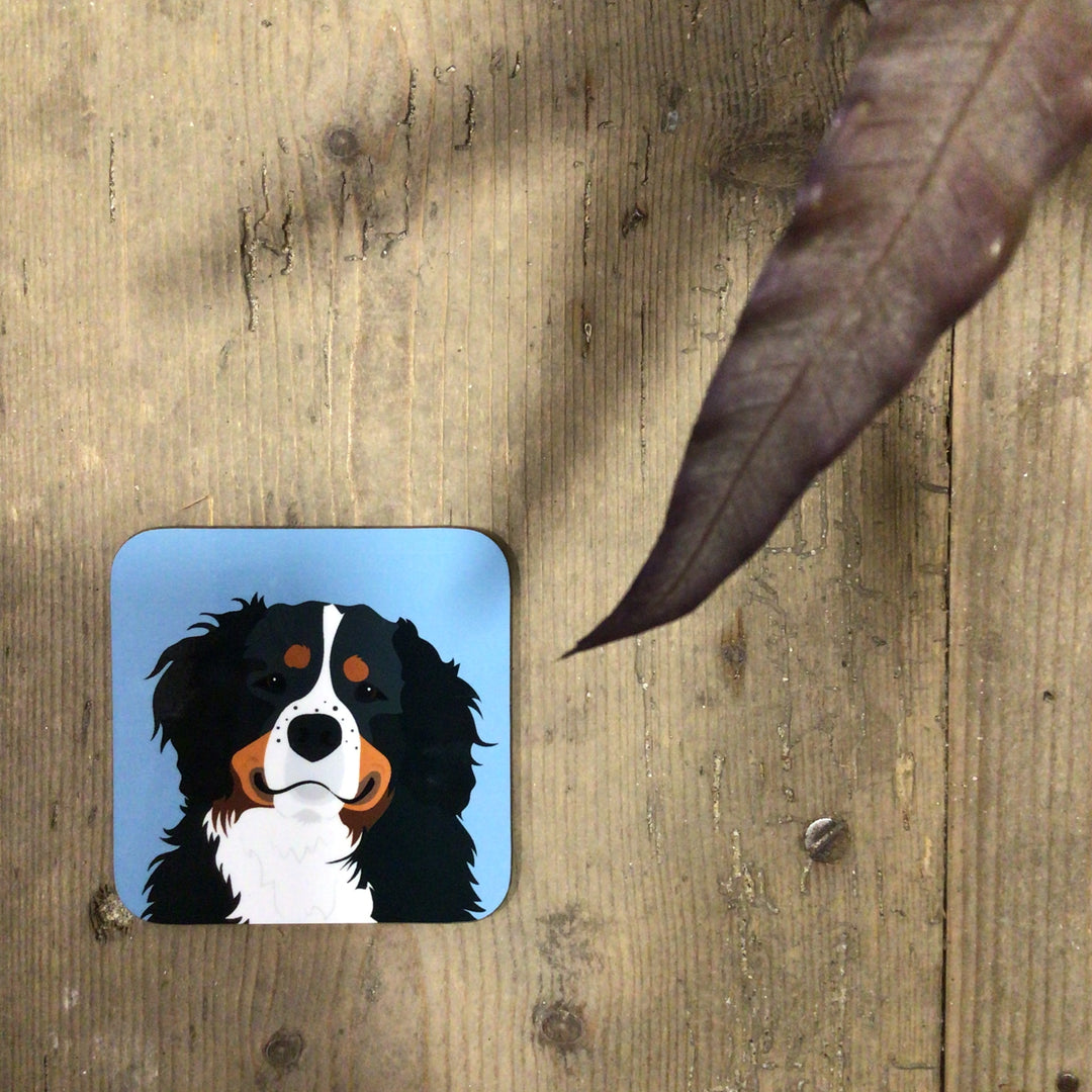 Dog Coaster