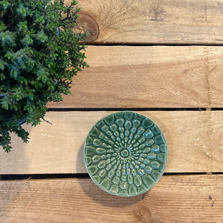 Cactus Trinket Pots