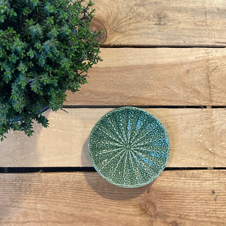 Cactus Trinket Pots