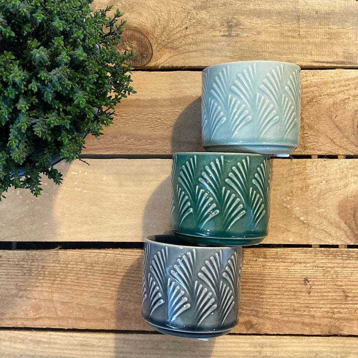 Ceramic Mini Succulent Holder