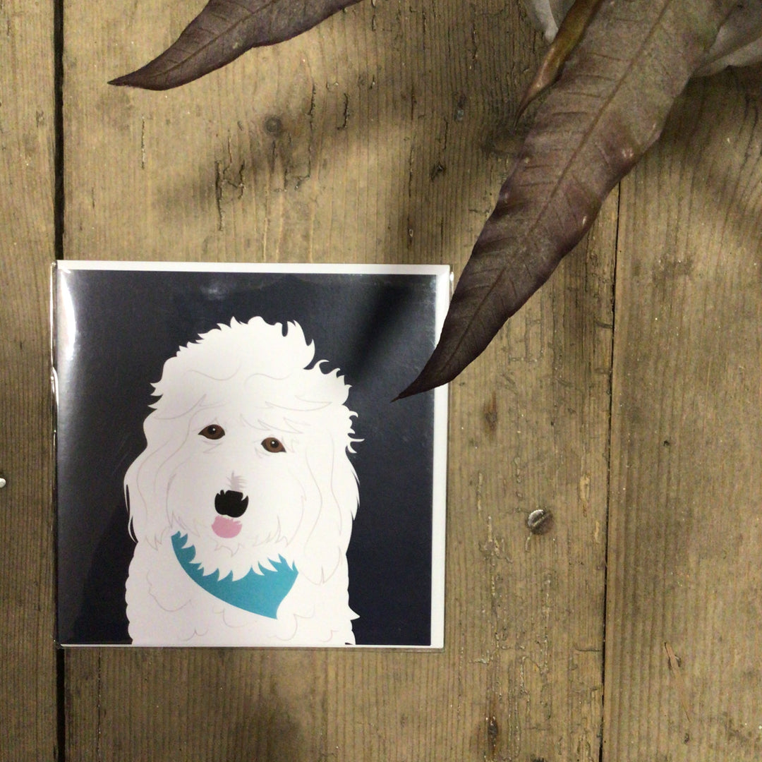 Dog Card
