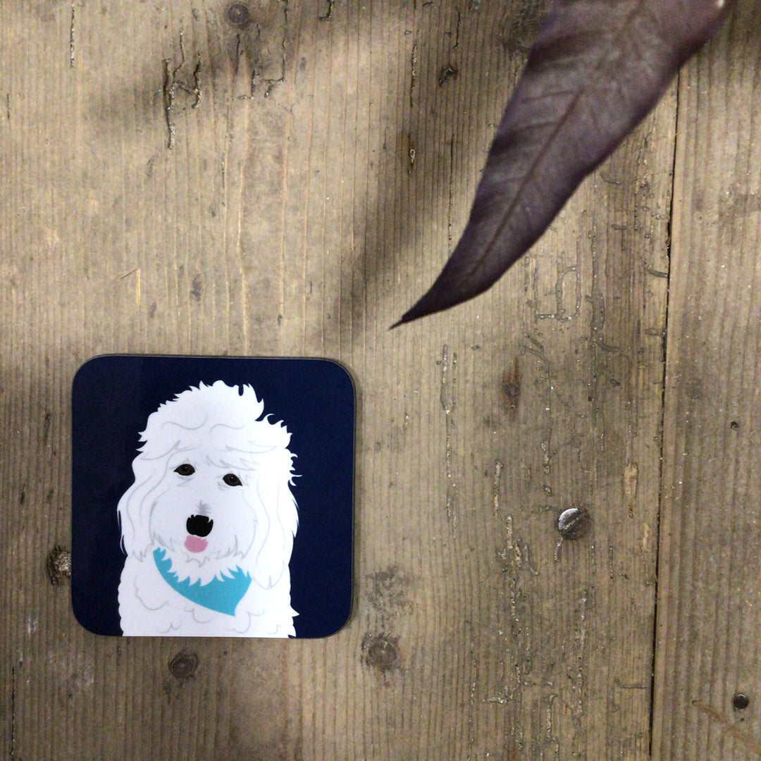 Dog Coaster