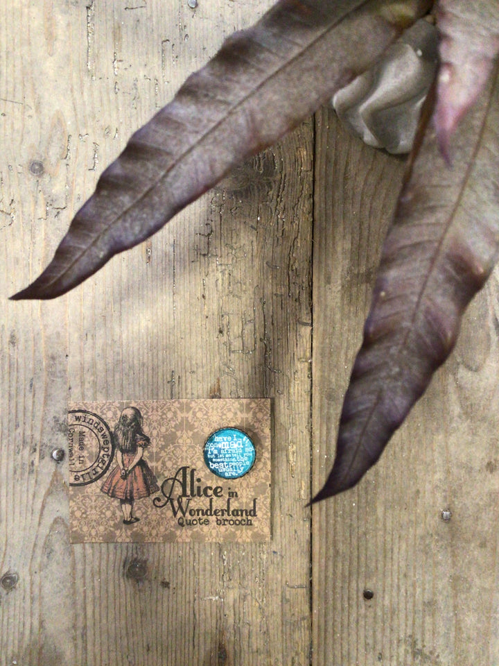Alice - Quotation Brooch