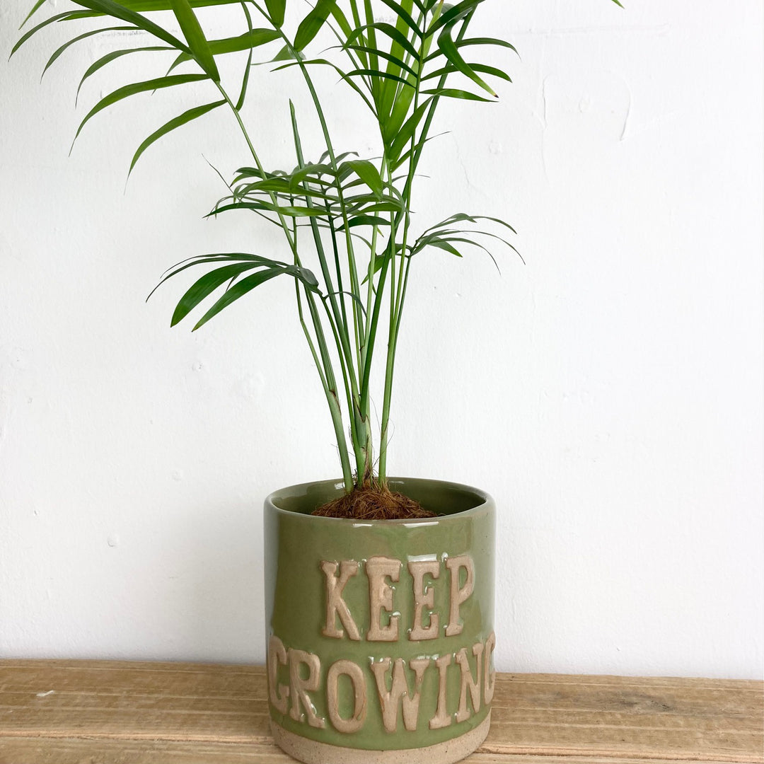 Green "Keep Growing" Ceramic Pot Cover