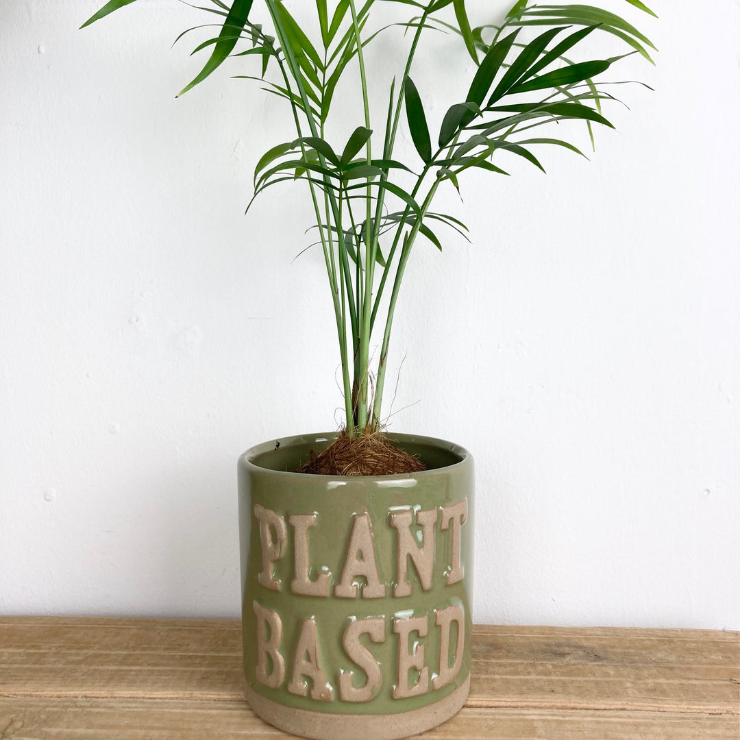 Green "Plant Based" Ceramic Pot Cover