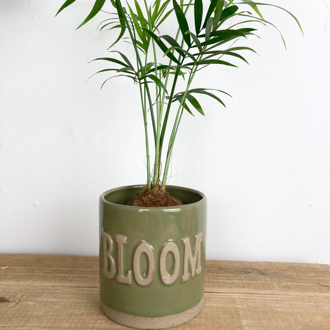 Green "Bloom" Ceramic Pot Cover