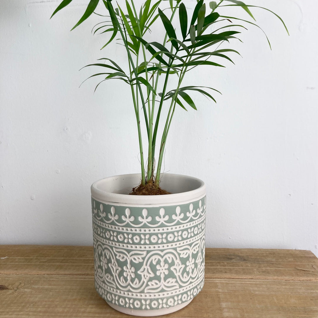 Green Border Terracotta Pot Cover
