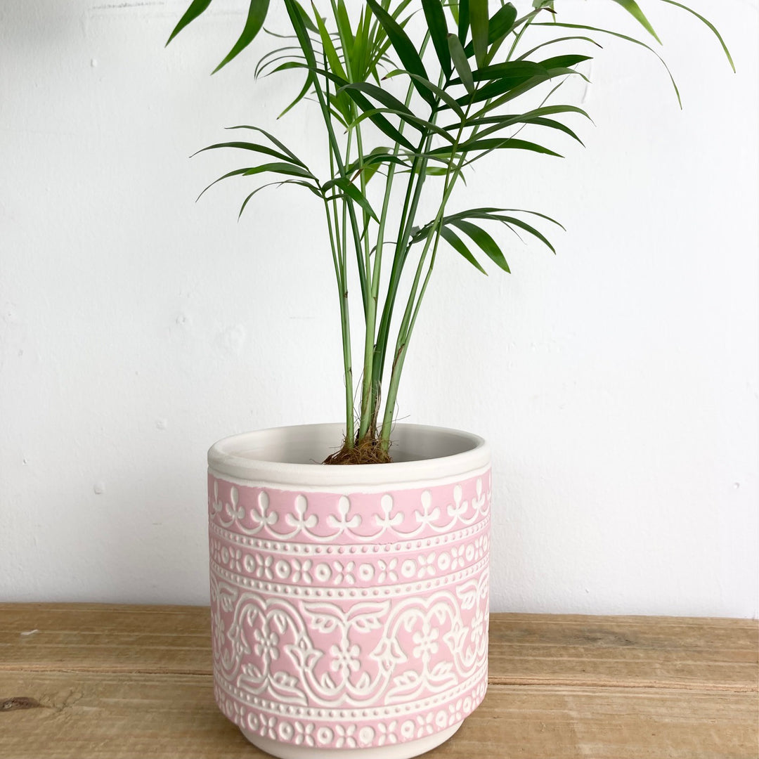 Pink Border Cement Pot Cover