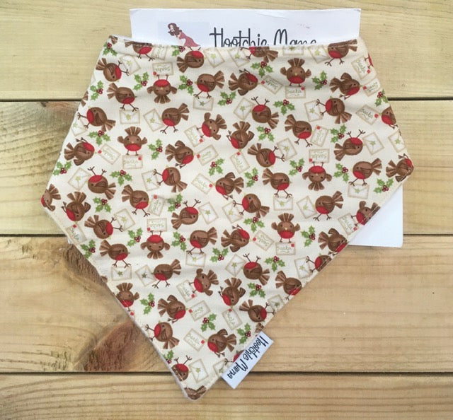 Dribble Bibs - Robins