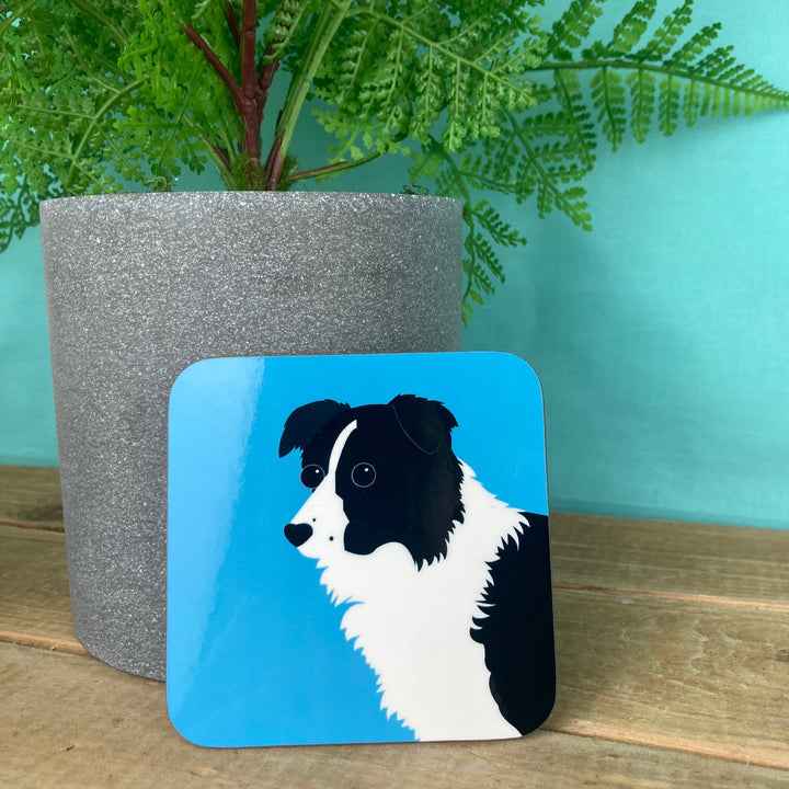 Dog Coaster