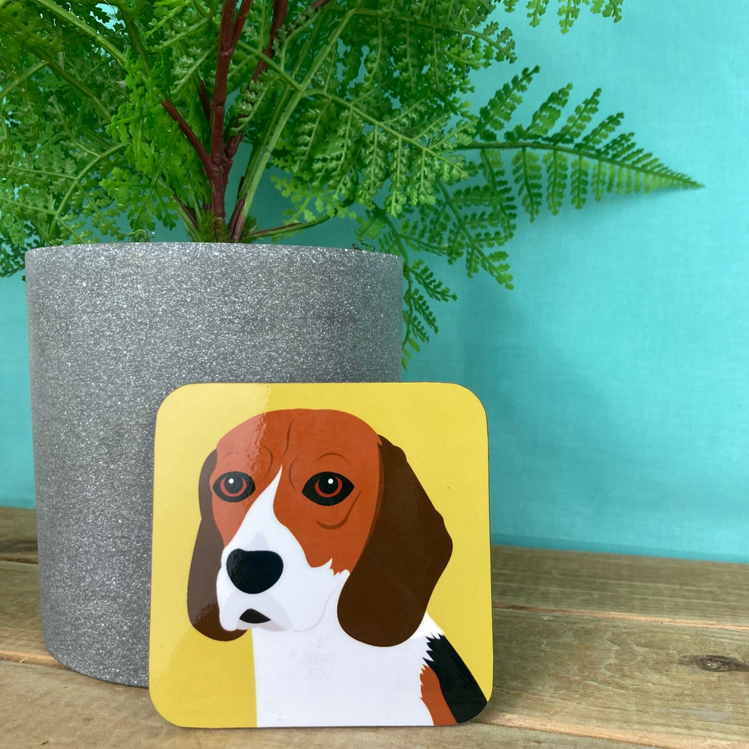 Dog Coaster