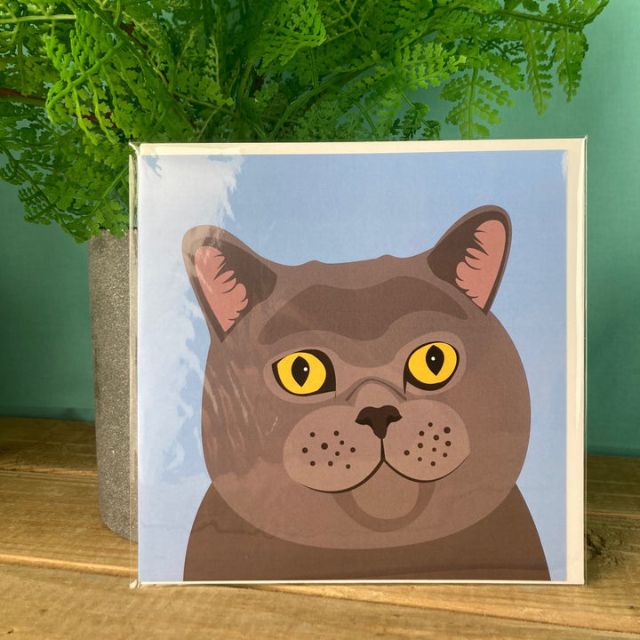 Cat Card