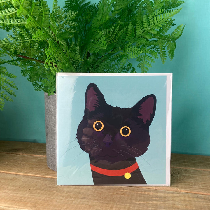 Cat Card