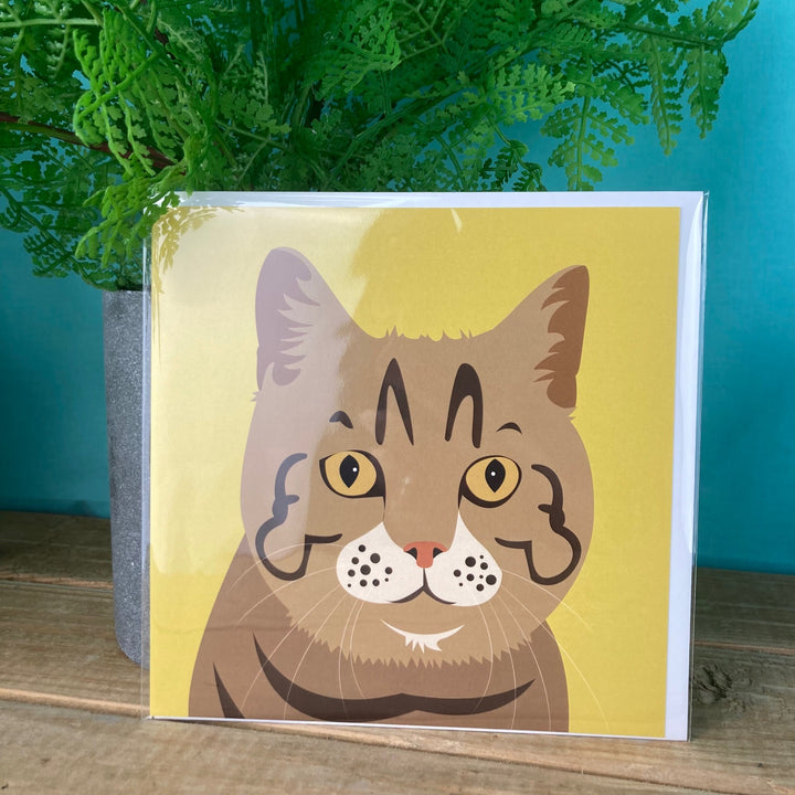 Cat Card