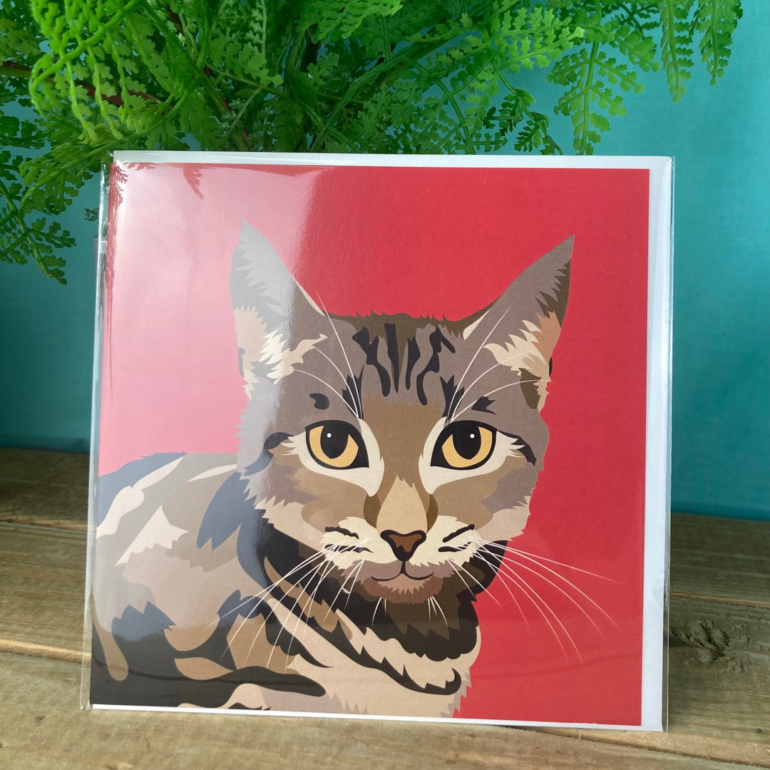 Cat Card