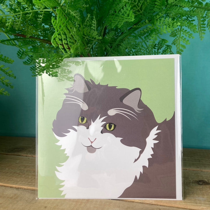 Cat Card