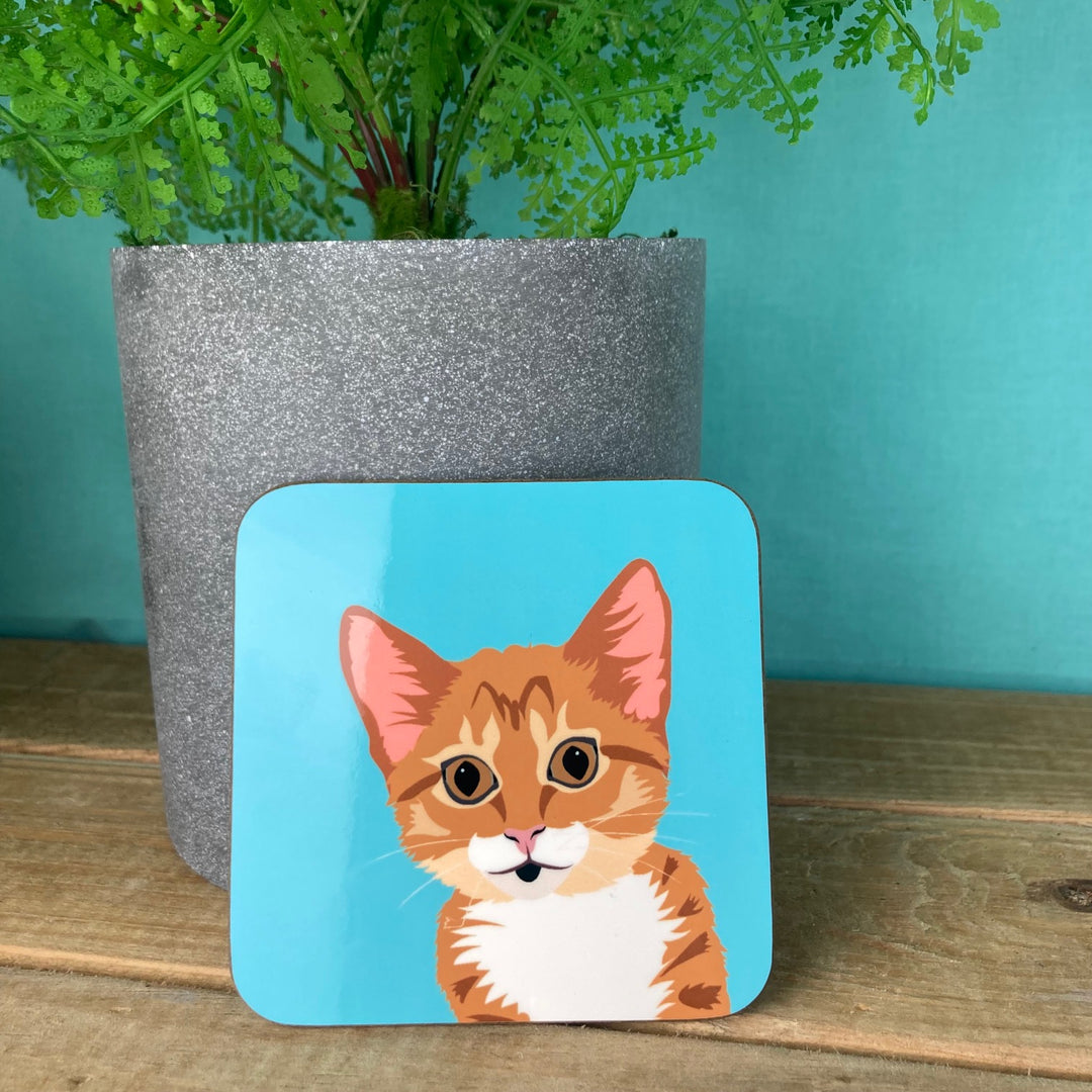 Cat Coasters