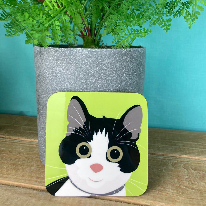 Cat Coasters
