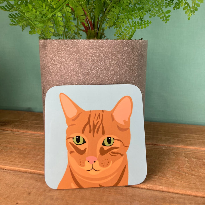 Cat Coasters