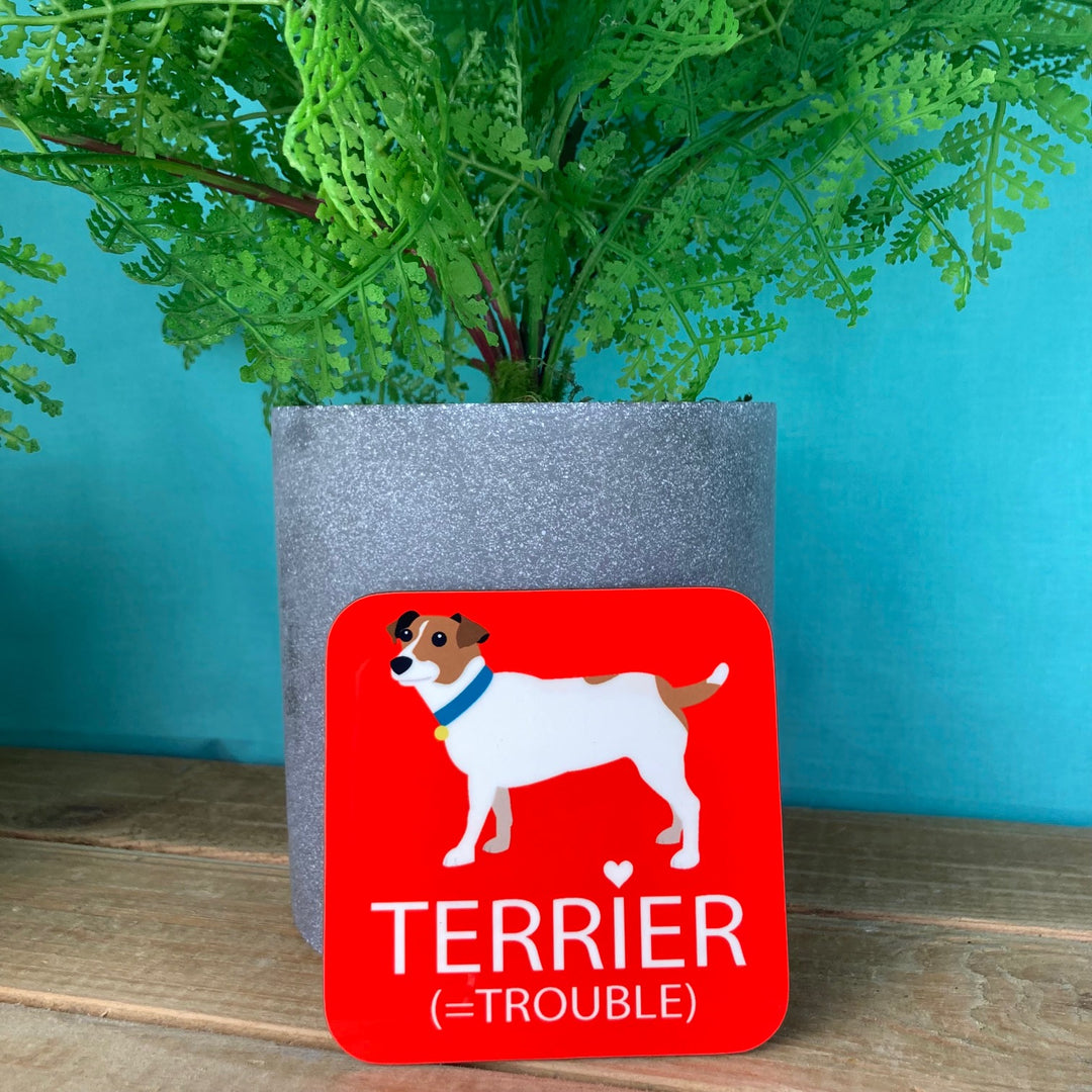 Dog Coaster