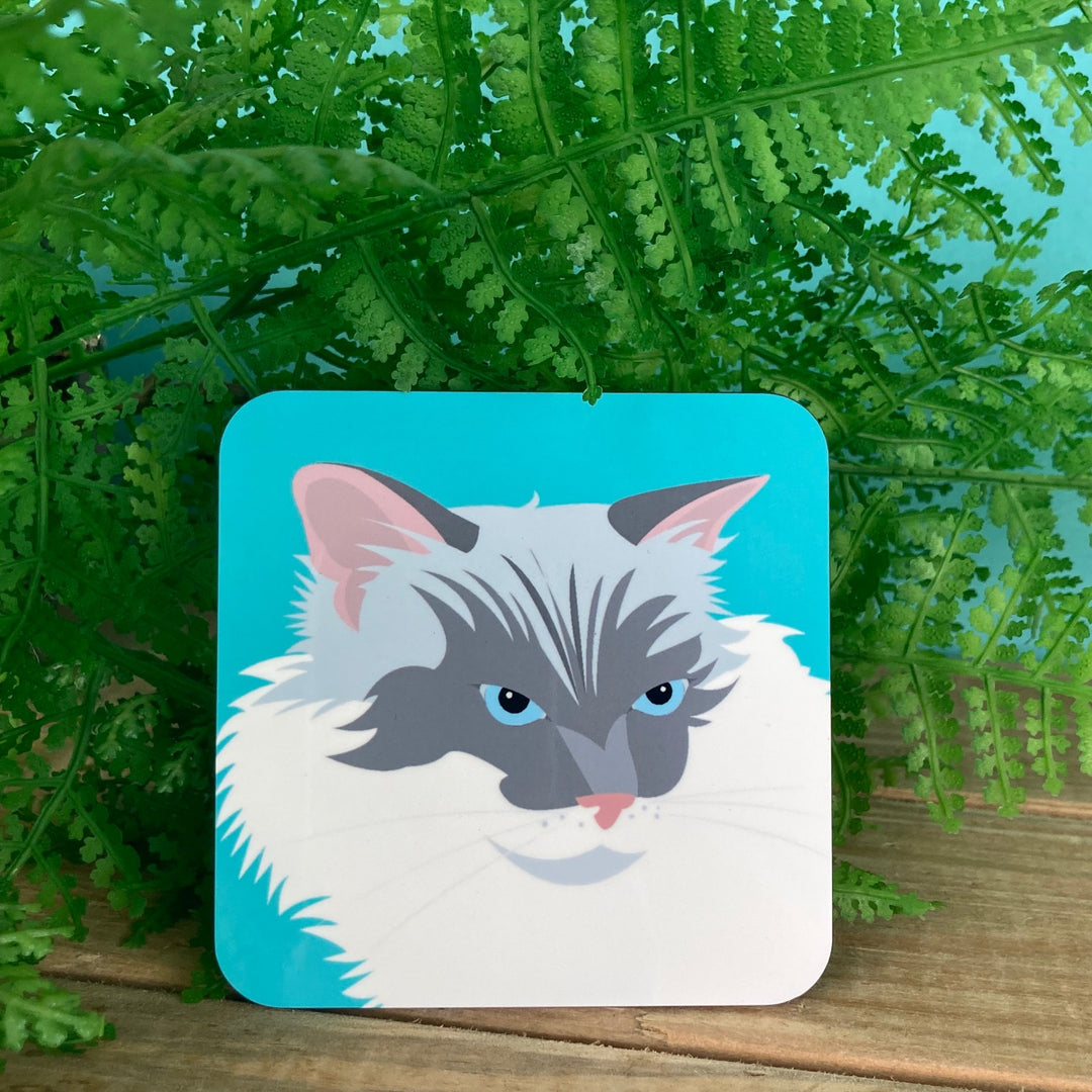 Cat Coasters
