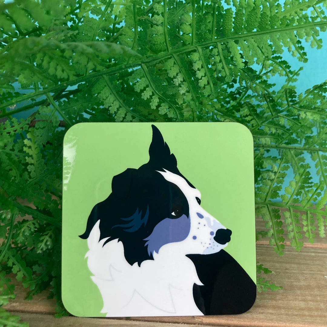 Dog Coaster