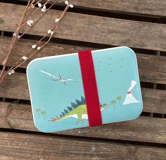 Kids Lunch Box