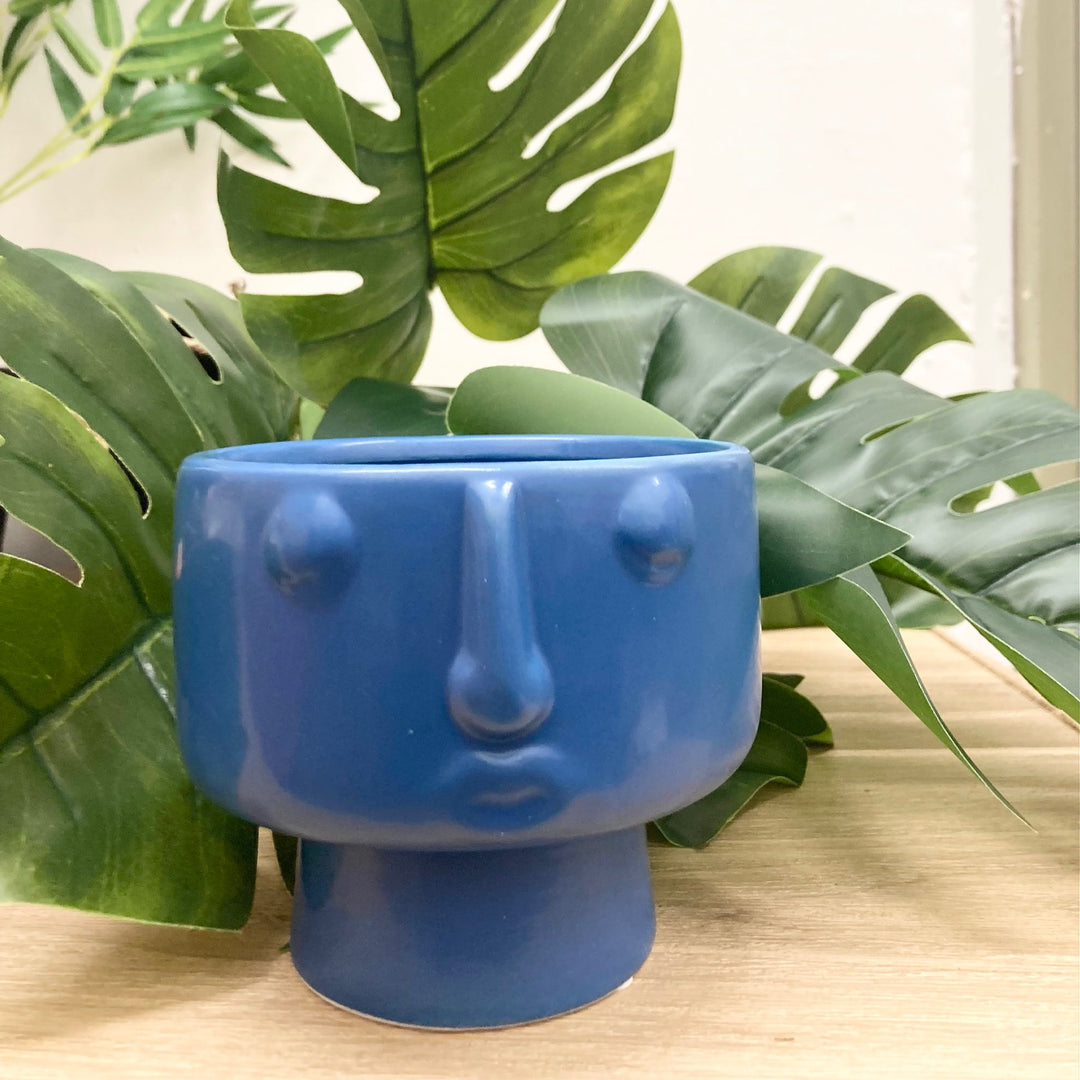 Blue Face Plant Pot