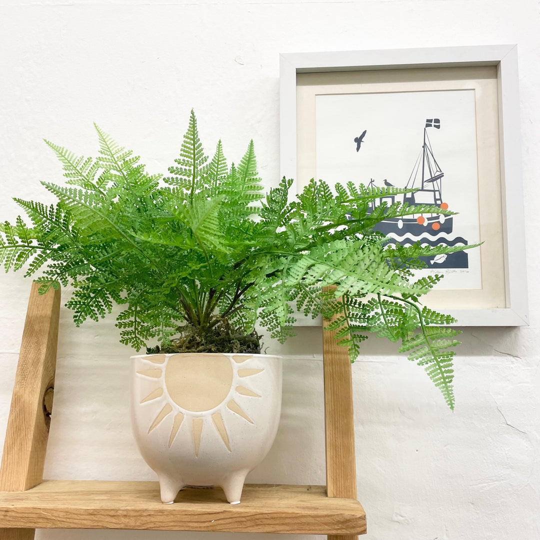 Sun Bowl Pot Cover