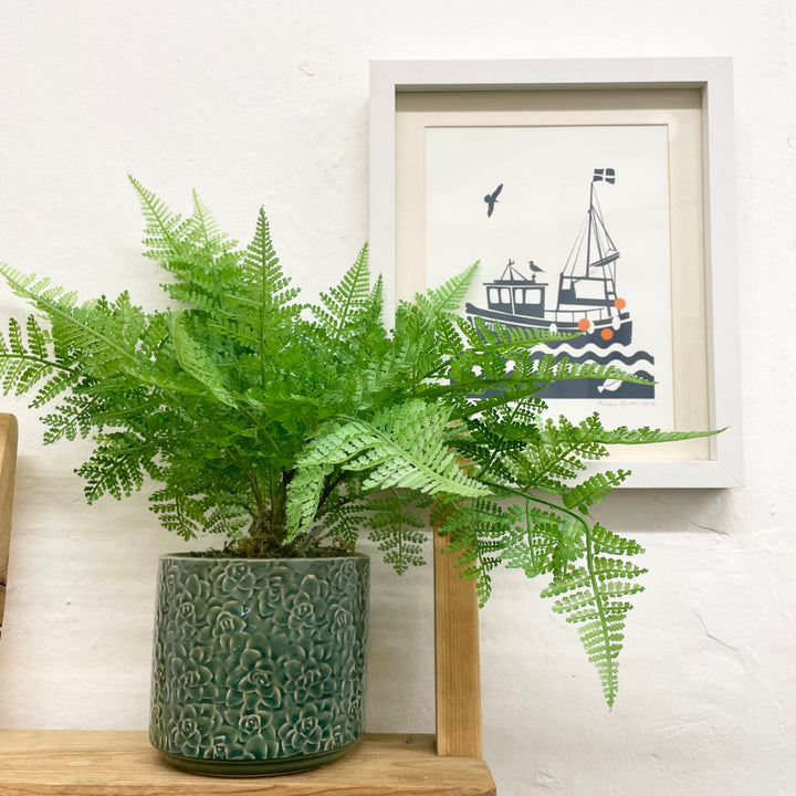 Green Succulent Pot Cover