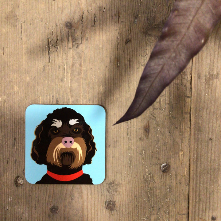 Dog Coaster