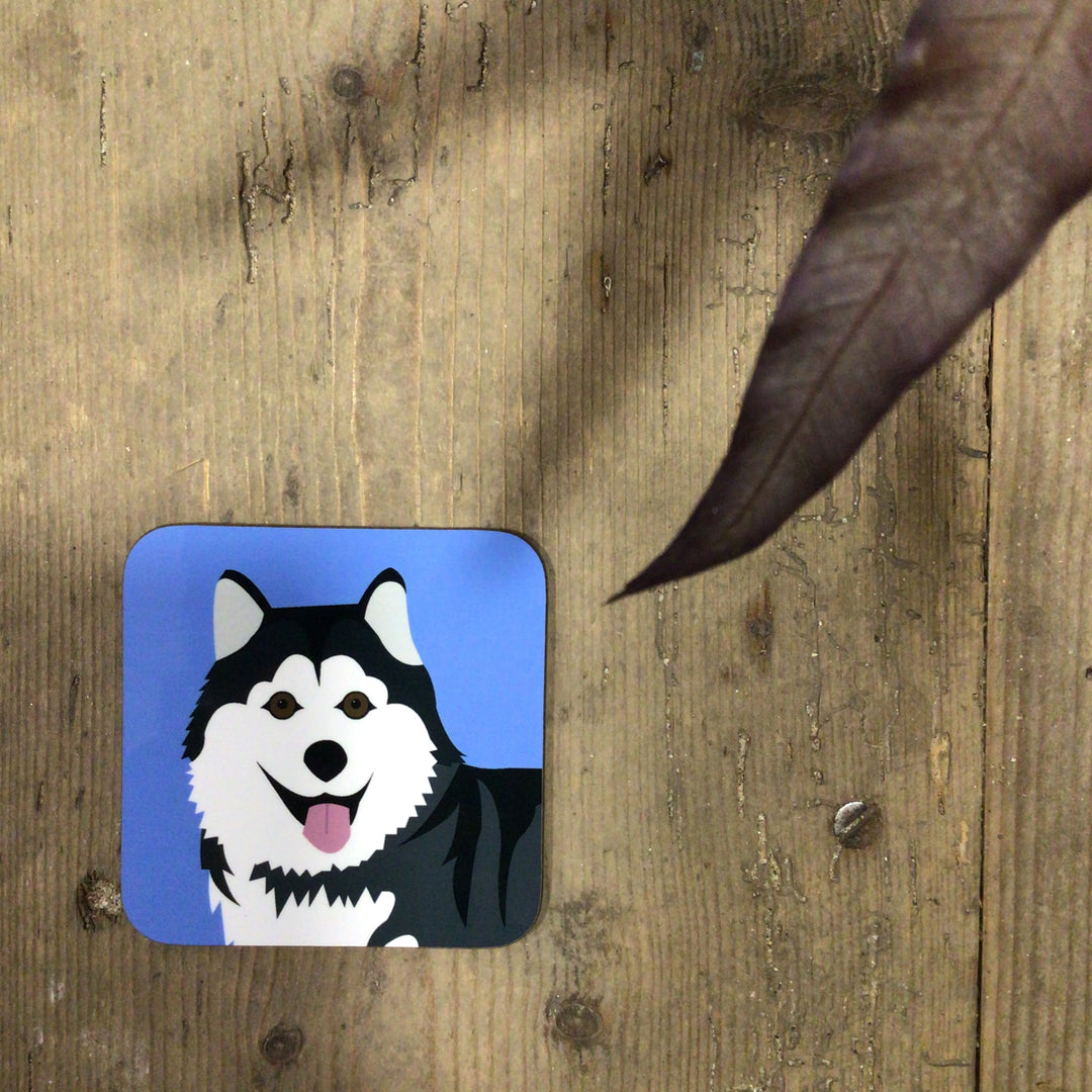 Dog Coaster