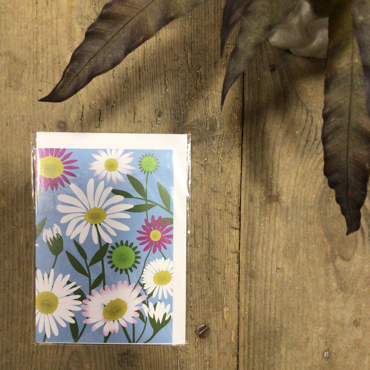 Mexican Fleabane Card