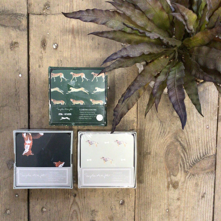 Coasters - Set of 4